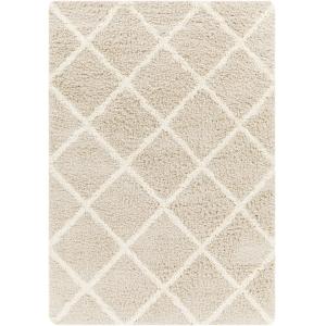 Tapis Shaggy Scandinave Bohème Blanc/Beige 160x220