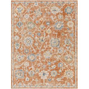 Tapis Vintage - Lavable en Machine - Terracotta - 160x213cm