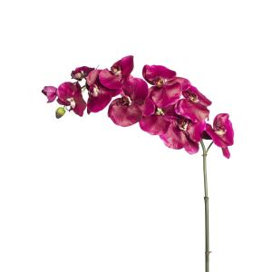 Tige d'orchidée phalaenopsis artificielle fuchsia H104