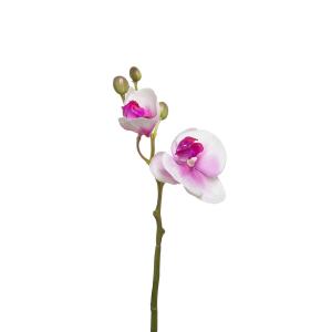 Tige d'orchidée phalaenopsis artificielle rose H21