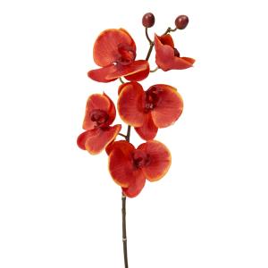 Tige d'orchidée phalaenopsis artificielle rouge H47