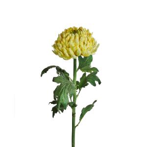 Tige de chrysanthème artificielle jaune H86