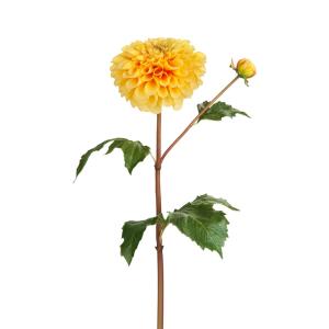 Tige de dahlia artificielle avec bourgeon orange H50