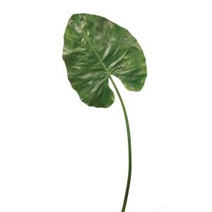 Tige de feuille alocasia arrondie artificielle verte H117