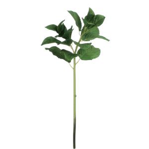 Tige de feuilles de camélia artificielle verte H59
