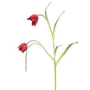 Tige de fritillaria impériale artificielle rouge H70