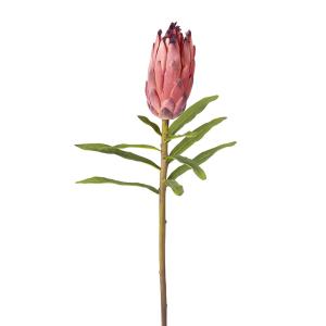 Tige de protea artificielle rose H73