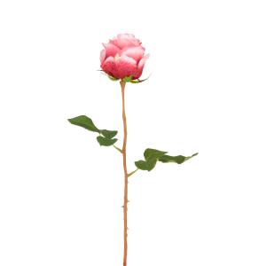 Tige de rose artificielle vieux rose H49