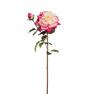 Tige de rose ouverte artificielle blanc et fuchsia H80