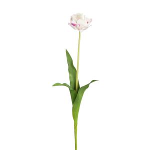 Tige de tulipe artificielle double avec feuilles blanche H70