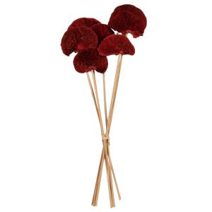 Tiges de fleurs séchées rouges
