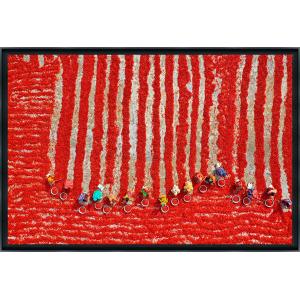 Tirage séchage des piments rouges sur aluminium 90×60cm