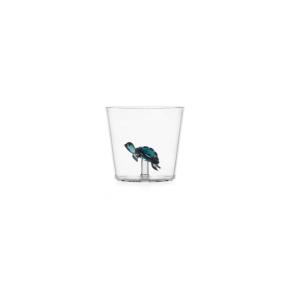 Verre tortue Transparent