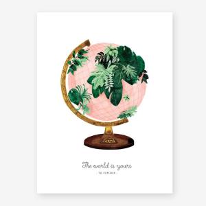 World - Poster / Medium - 29,7 x 39,7cm