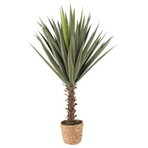 Yucca artificiel verre et marron H118